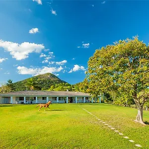Bed & Breakfast Mountain Retreat, Eumundi