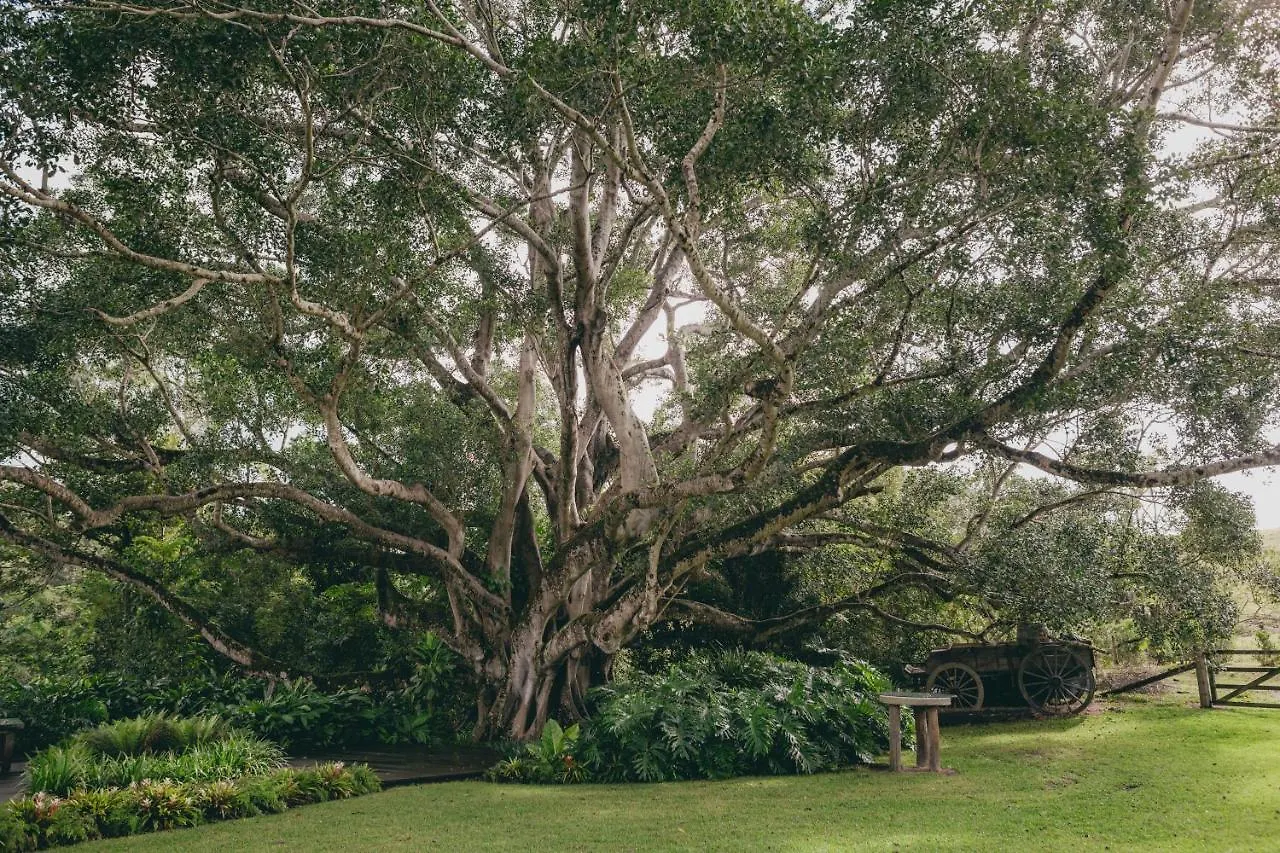 The Eumundi Dairy Villa 0*,  Australia