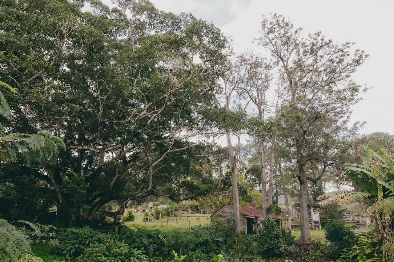 The Eumundi Dairy Villa Holiday home